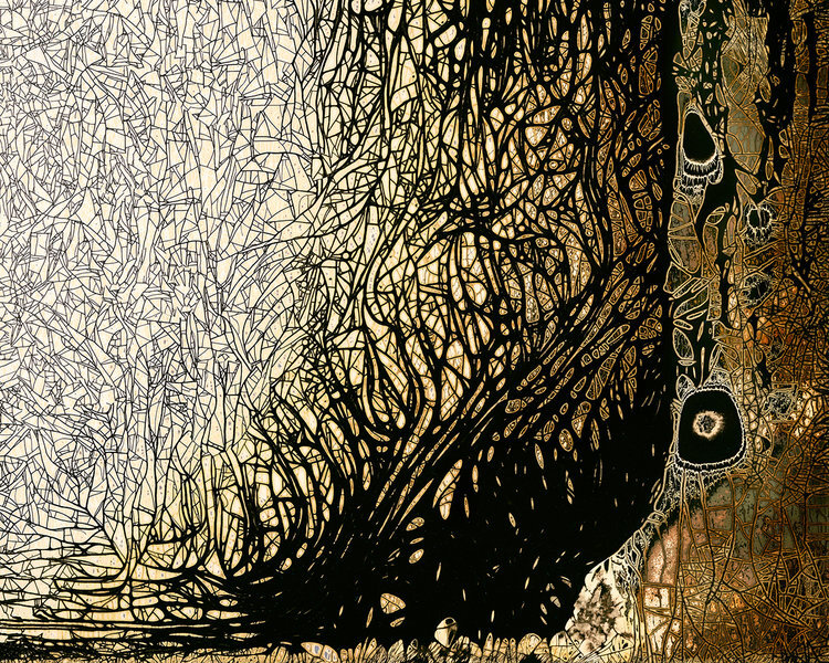 Nolan+Preece+-+At+Forest's+Edge+(edition+of+10),+2016+Chemigram+16x20+in.jpg