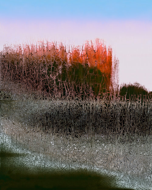 Nolan+Preece+-+Evening+(edition+of+10),+2016+Chemigram+20x16+in.jpg