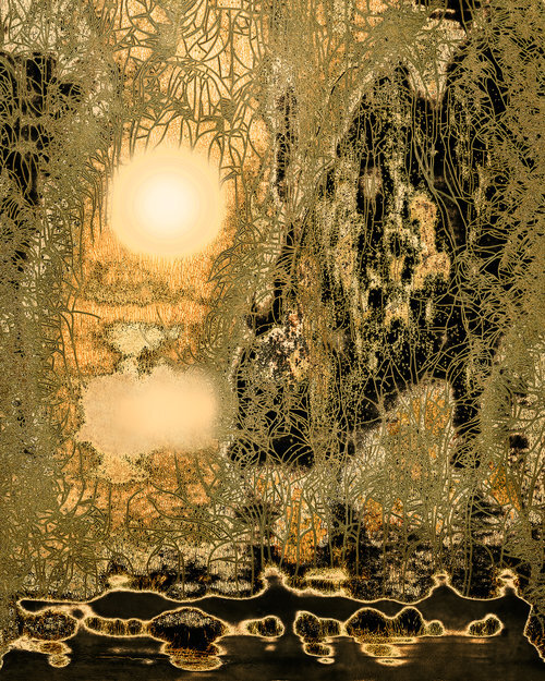 Nolan+Preece+-+Garden+(edition+of+10),+2016+Chemigram+20x16+in.jpg