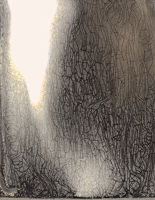 Nolan+Preece+-+Grotto+(edition+of+10),+2016+Chemigram+20x16+in.jpg