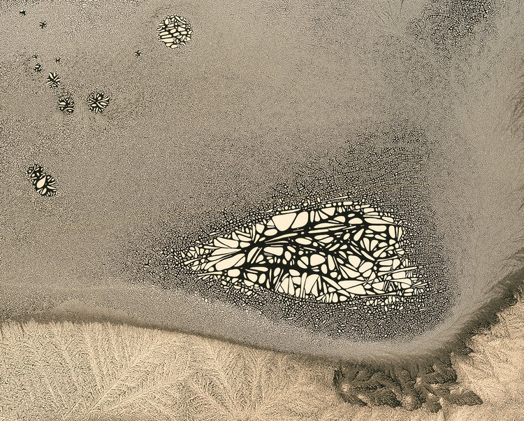 Nolan+Preece+-+High+Tide+(edition+of+10),+2016+Chemigram+16x20+in.jpg