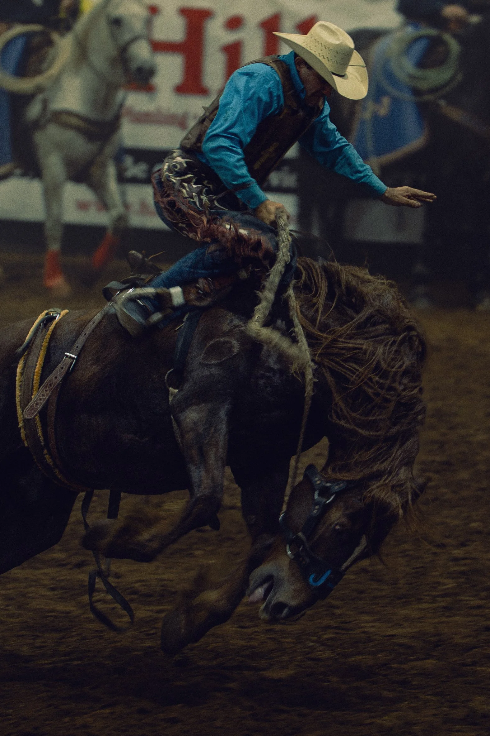 DSC09526-Edit.jpg