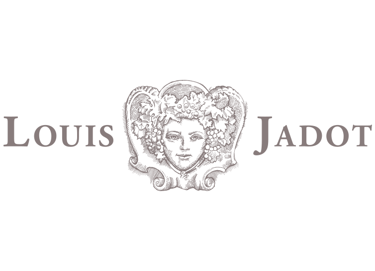 Allison-Henry-Branding-Louis-Jadot.png