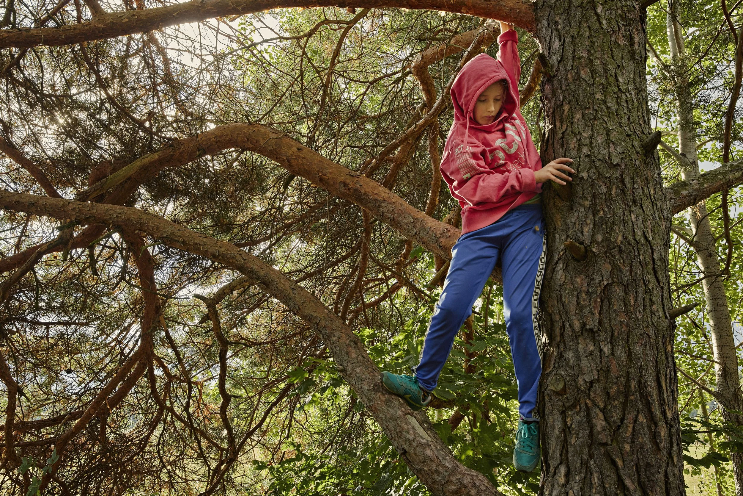  Scouterna / New Normal 