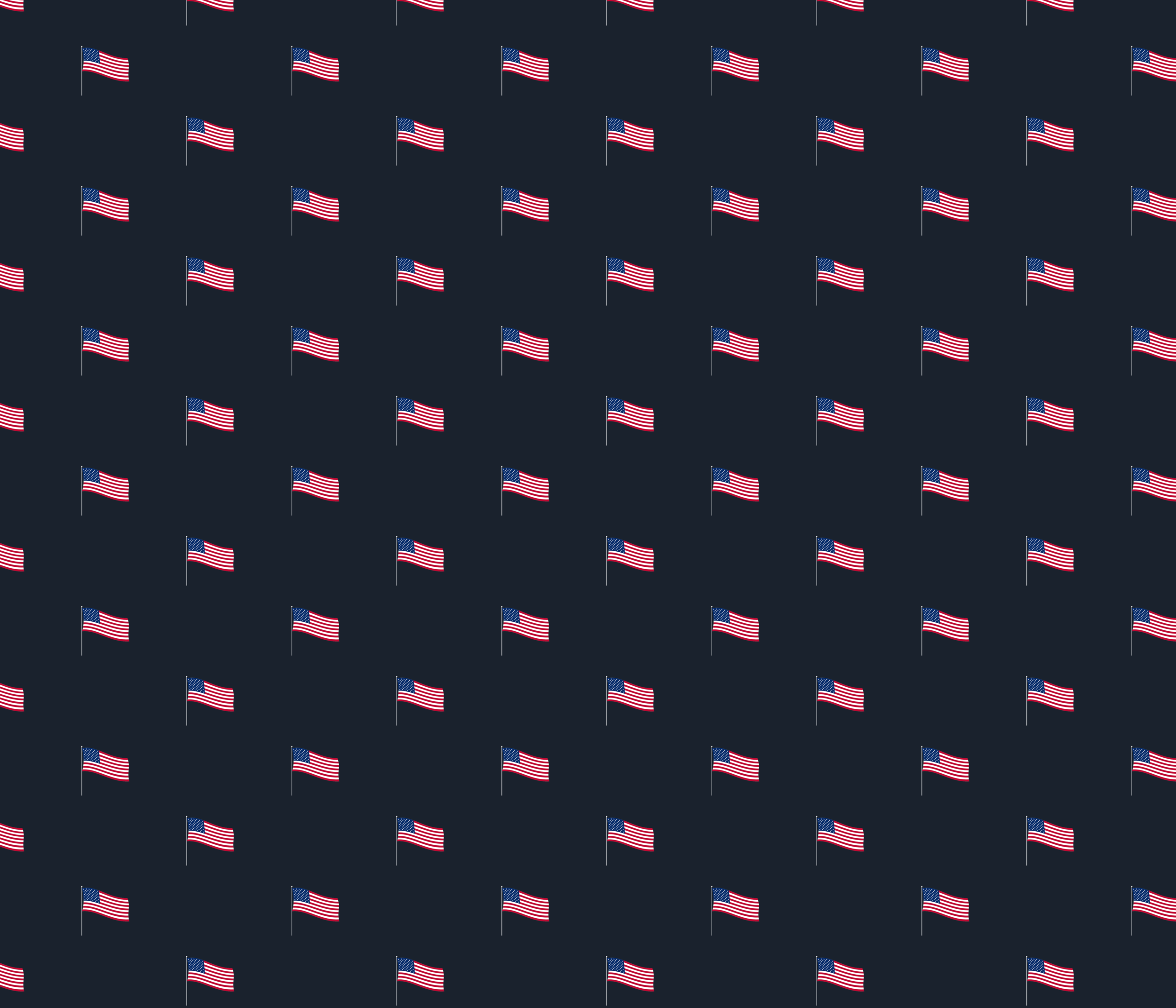 fullpageflagspoonflower-01 copy.png