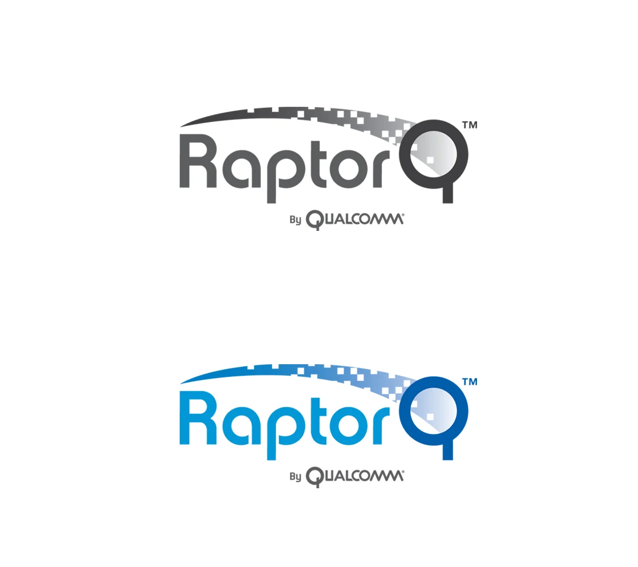 Raptorq logo_on clear 852016.jpg
