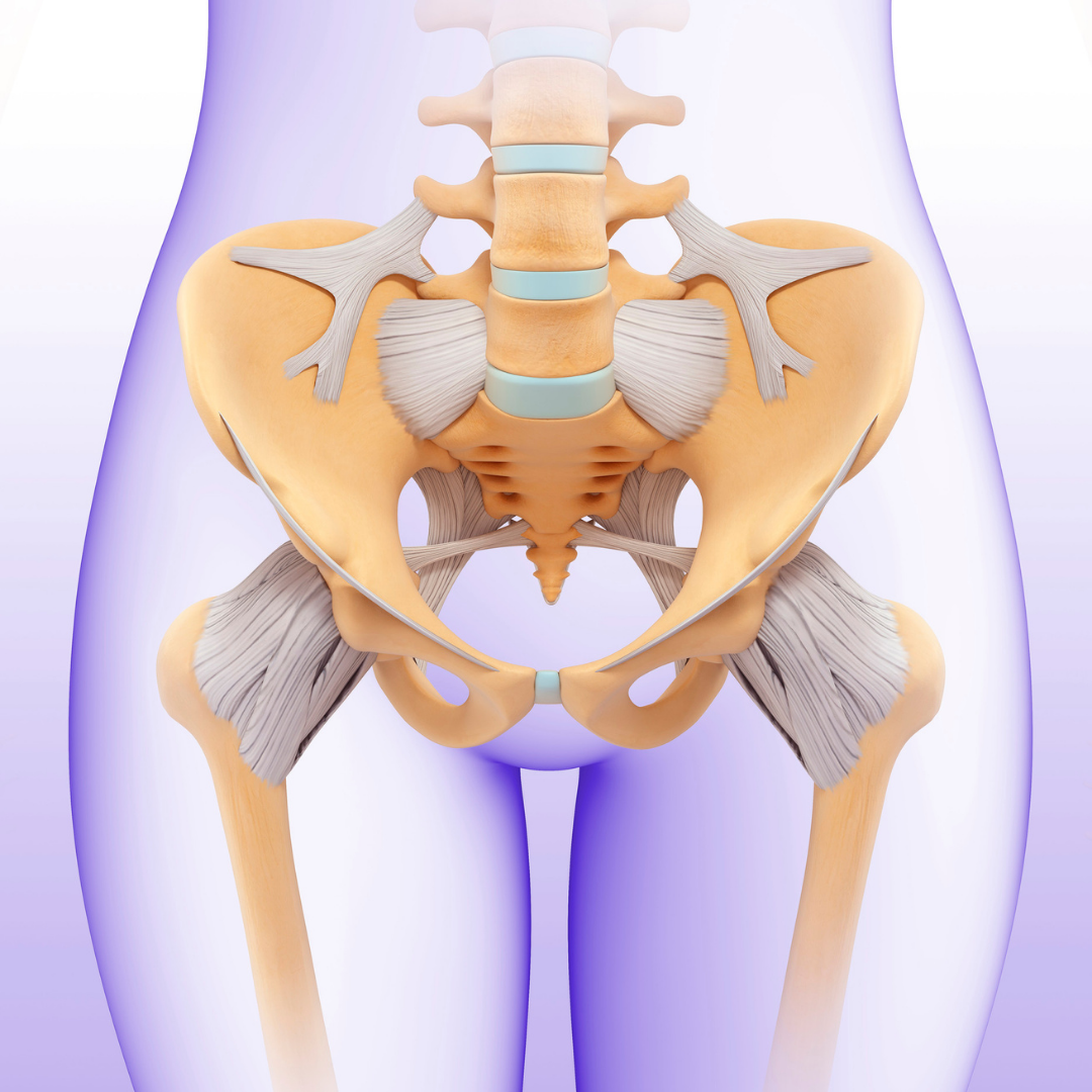 Kegels versus Squats - What's best for your pelvic floor?