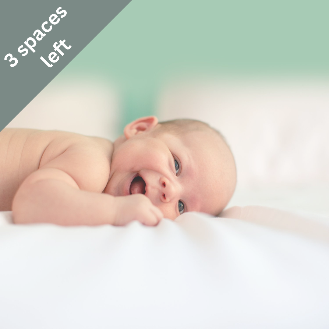 BEDMINSTER - FEBRUARY/MARCH 2026 COURSE - DUE DATES APRIL TO END MAY