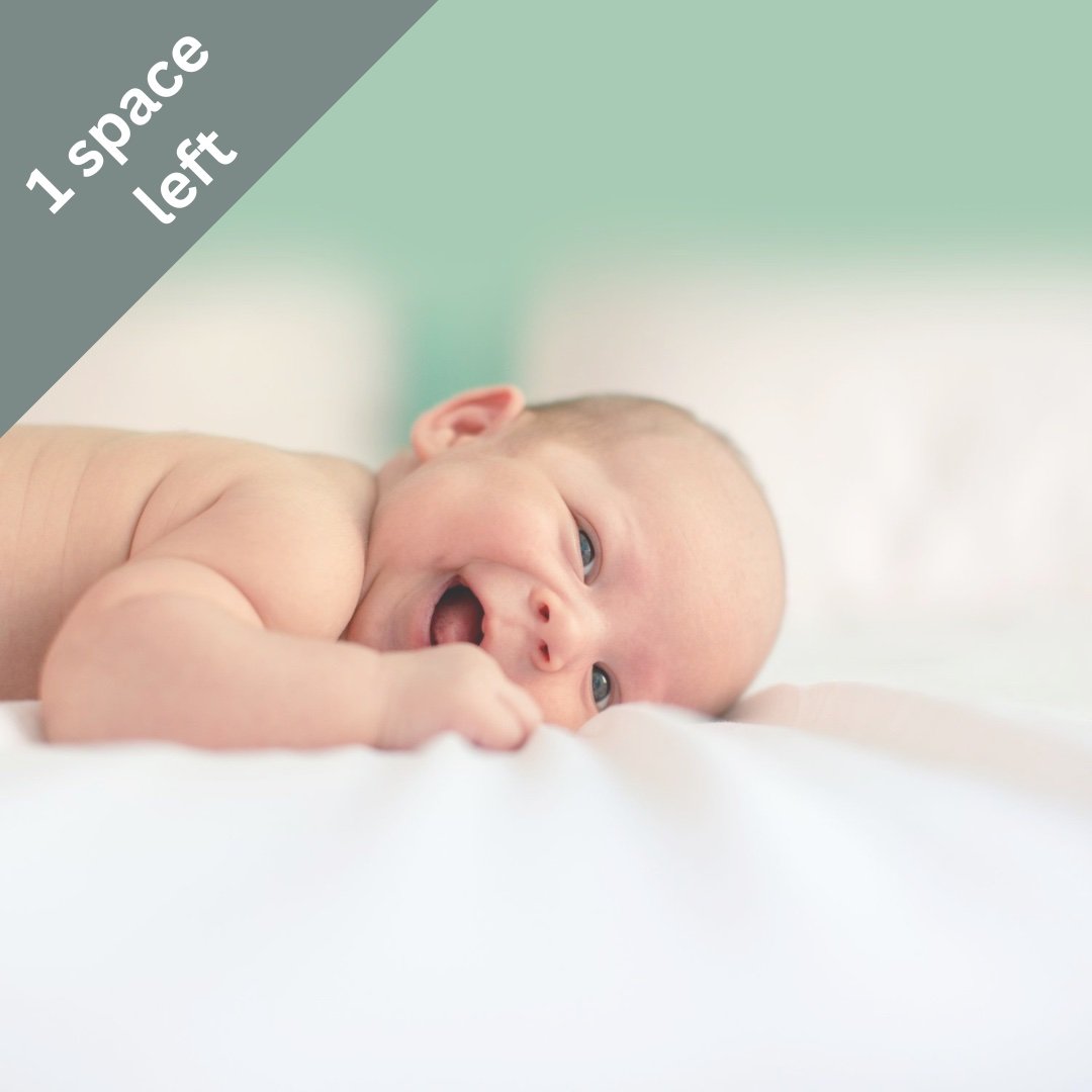 BEDMINSTER - JANUARY 2026 COURSE - DUE DATES MID/LATE FEB TO END OF MARCH