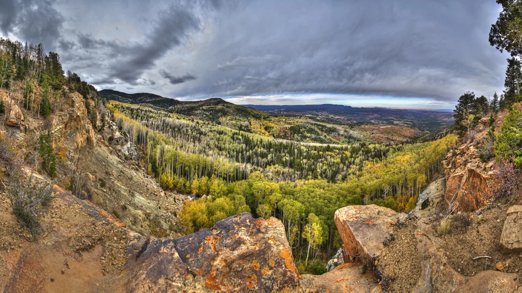 Fall color in the Abajo Mountains. Photographer: Tim Peterson