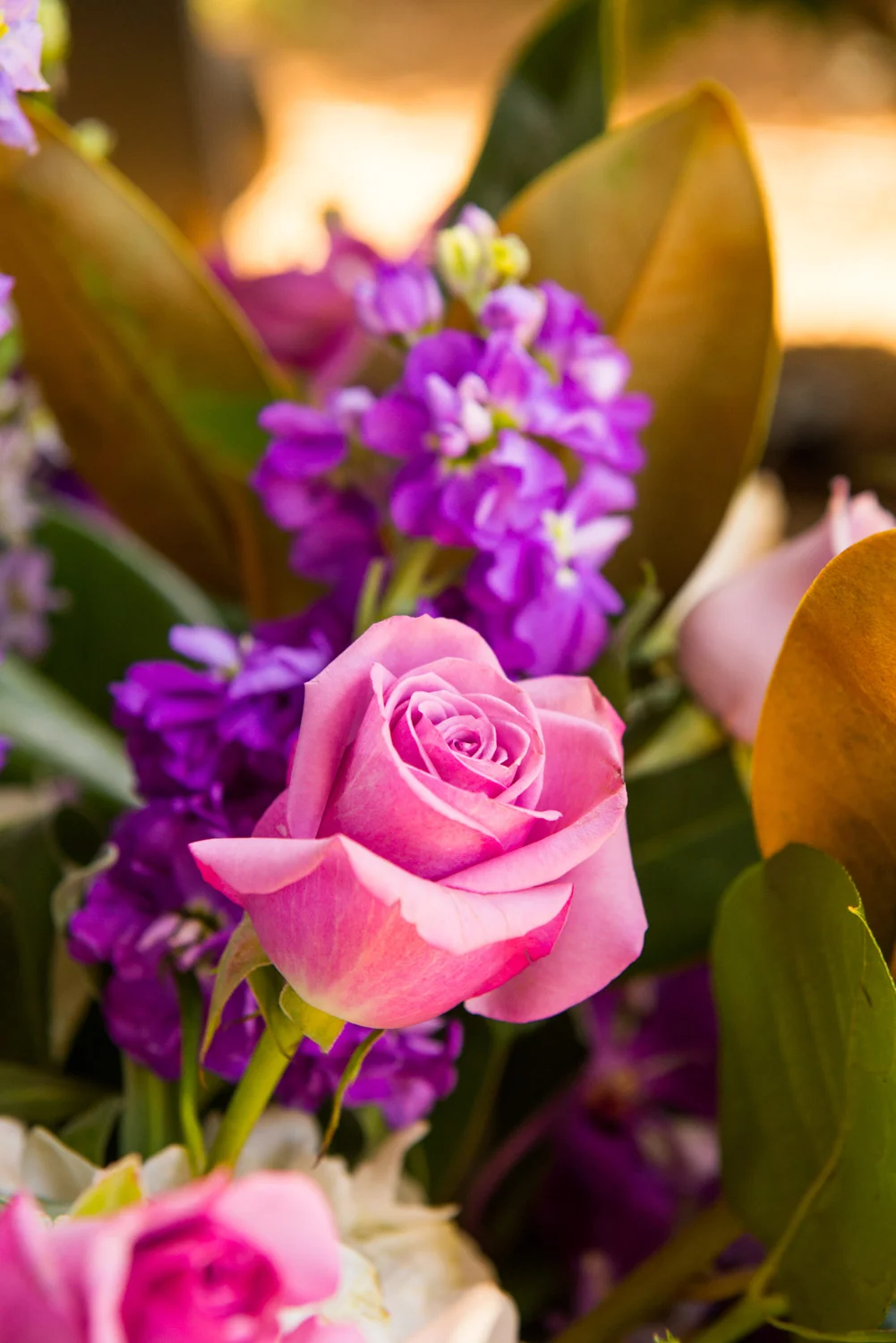 march14th2015-0826.jpg