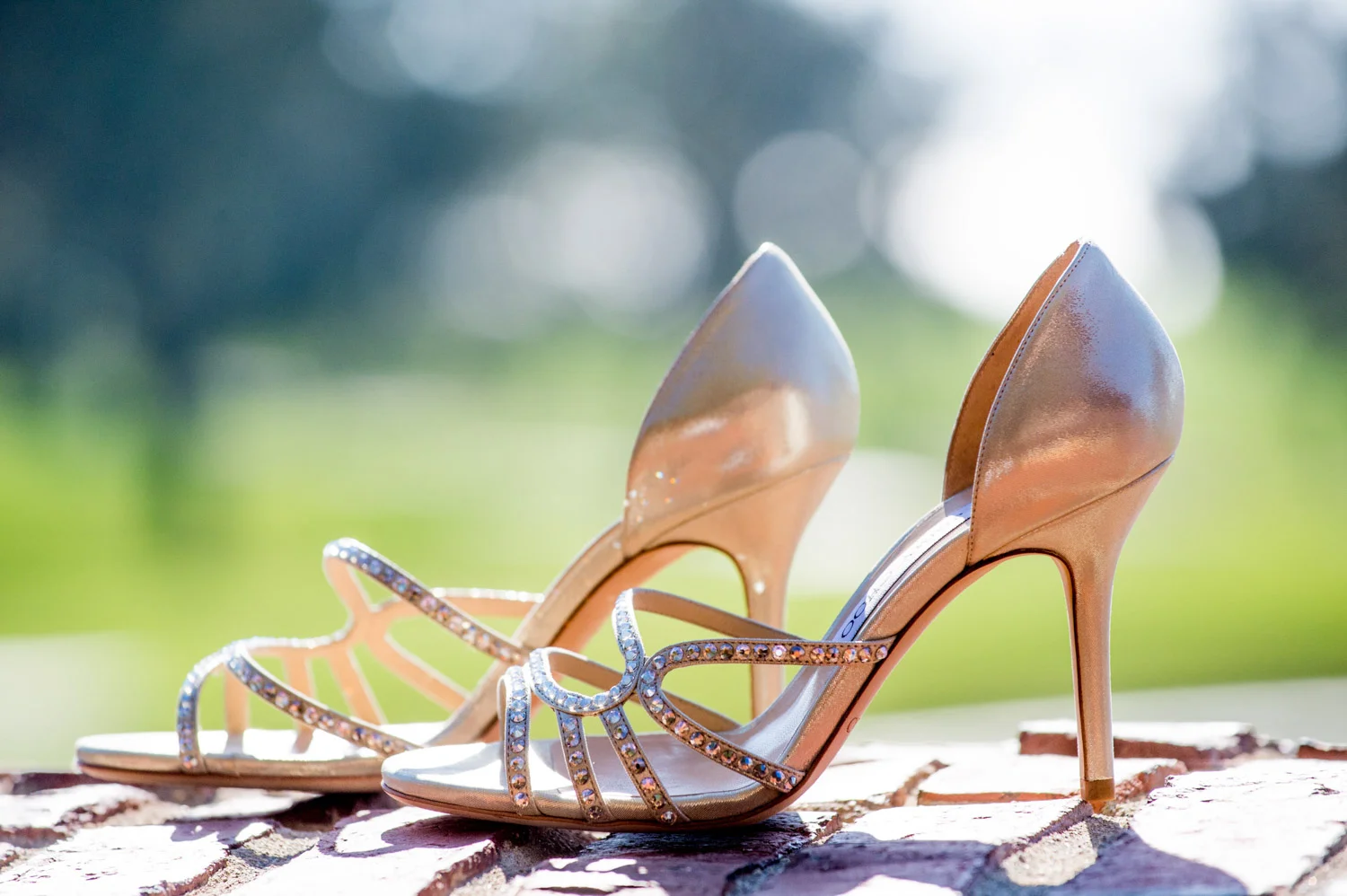 wedding-0277.jpg