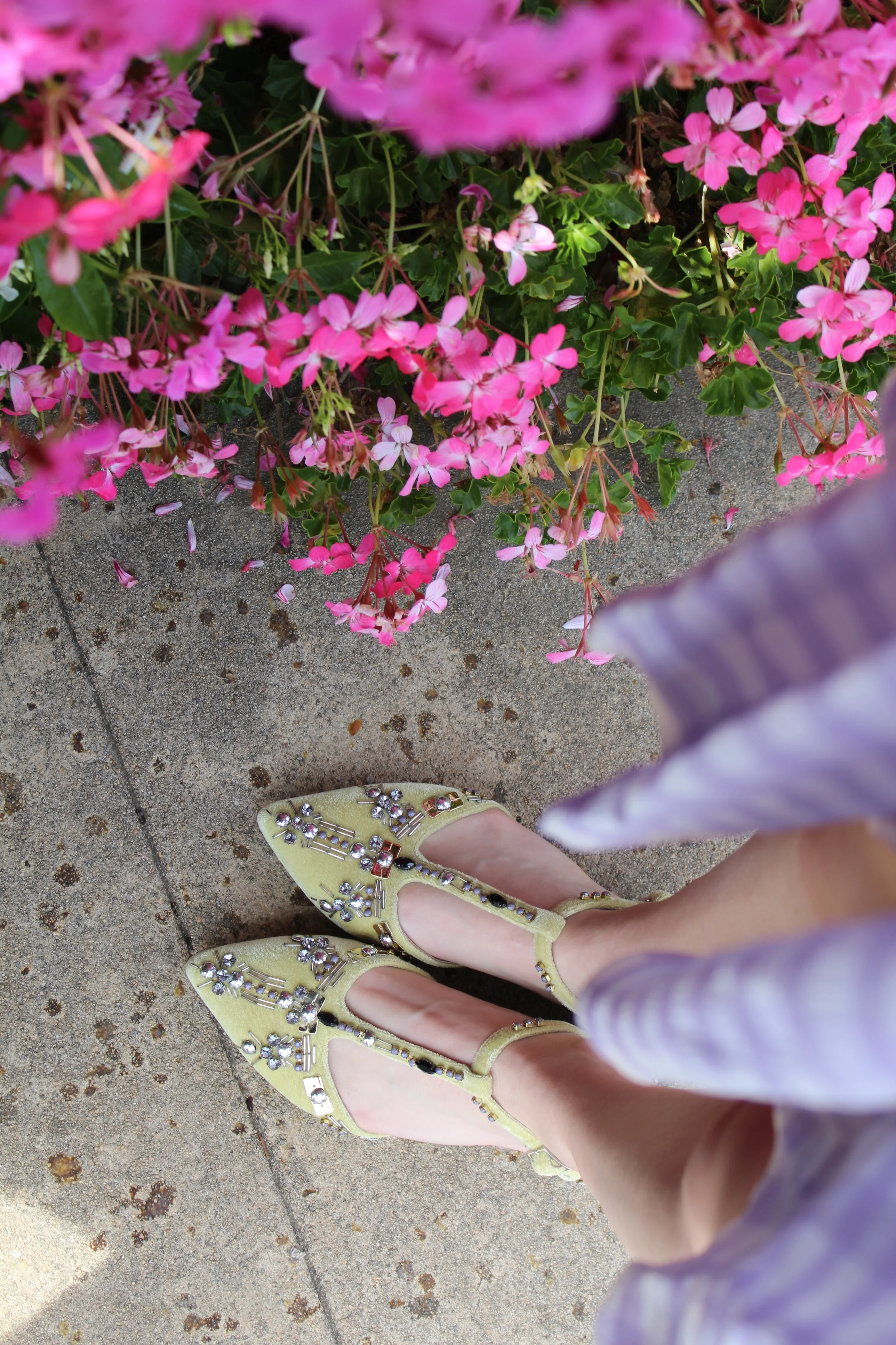 These flats are the cutest and one of my favorites! I love wearing them but they are so delicate that I am always a little scared! The silver embellishments really complemented the purple and white mixture of the dress which I really loved! The flats are also a really soft green- yellow velvet, which made them feel really fancy even though they are flats!