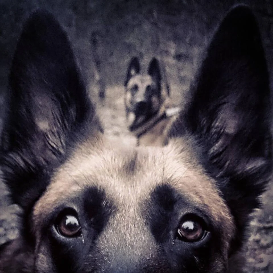 Ändra personligheten del 2