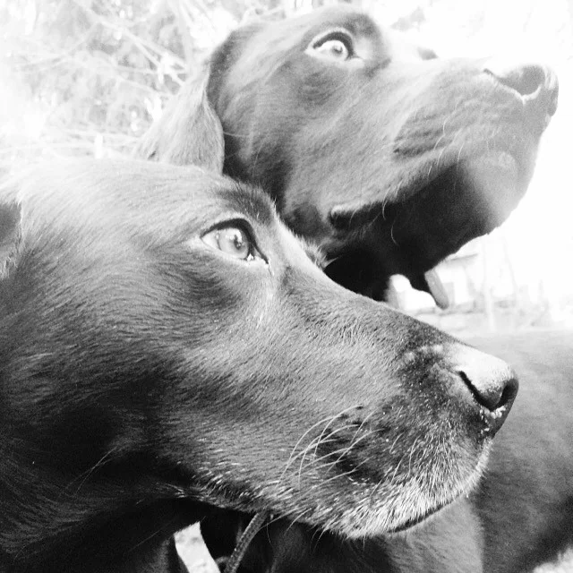 Olika funktion leder till olika mentalitet