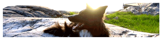 Fortsättningen till olika funktion leder till olika mentalitet