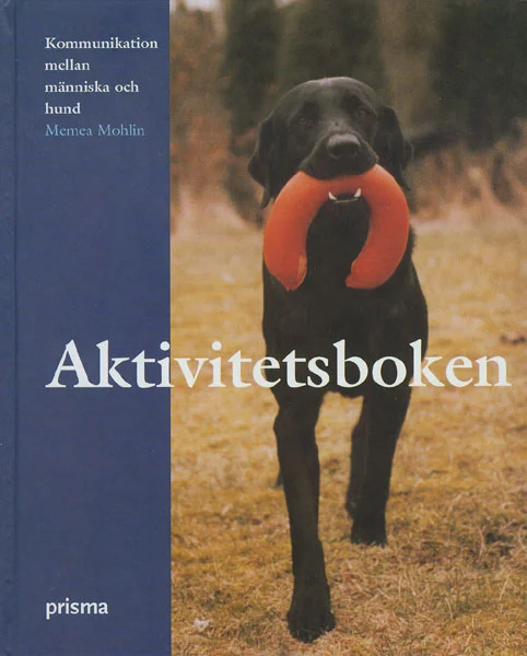 Aktivitetsboken.jpg