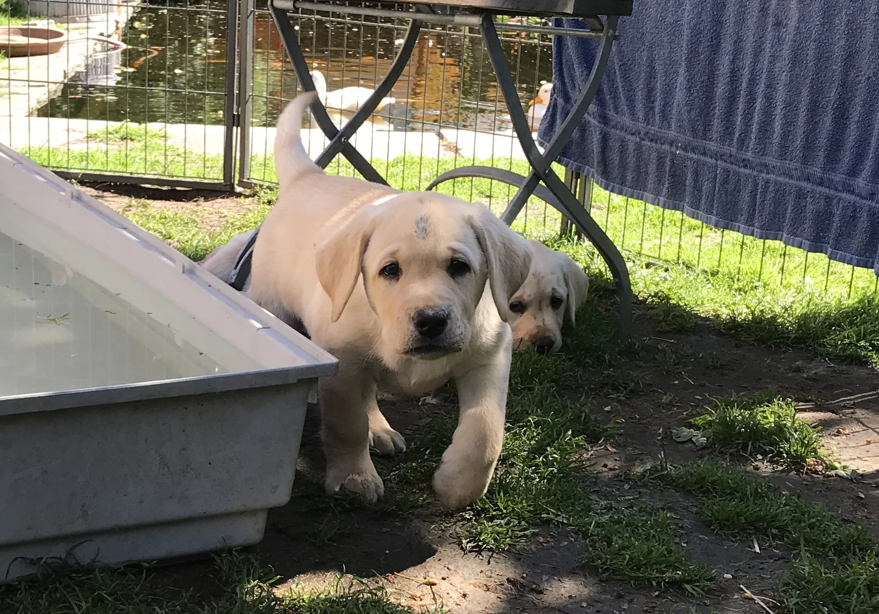 Del 8. Svårt att kopiera men tänkvärt.