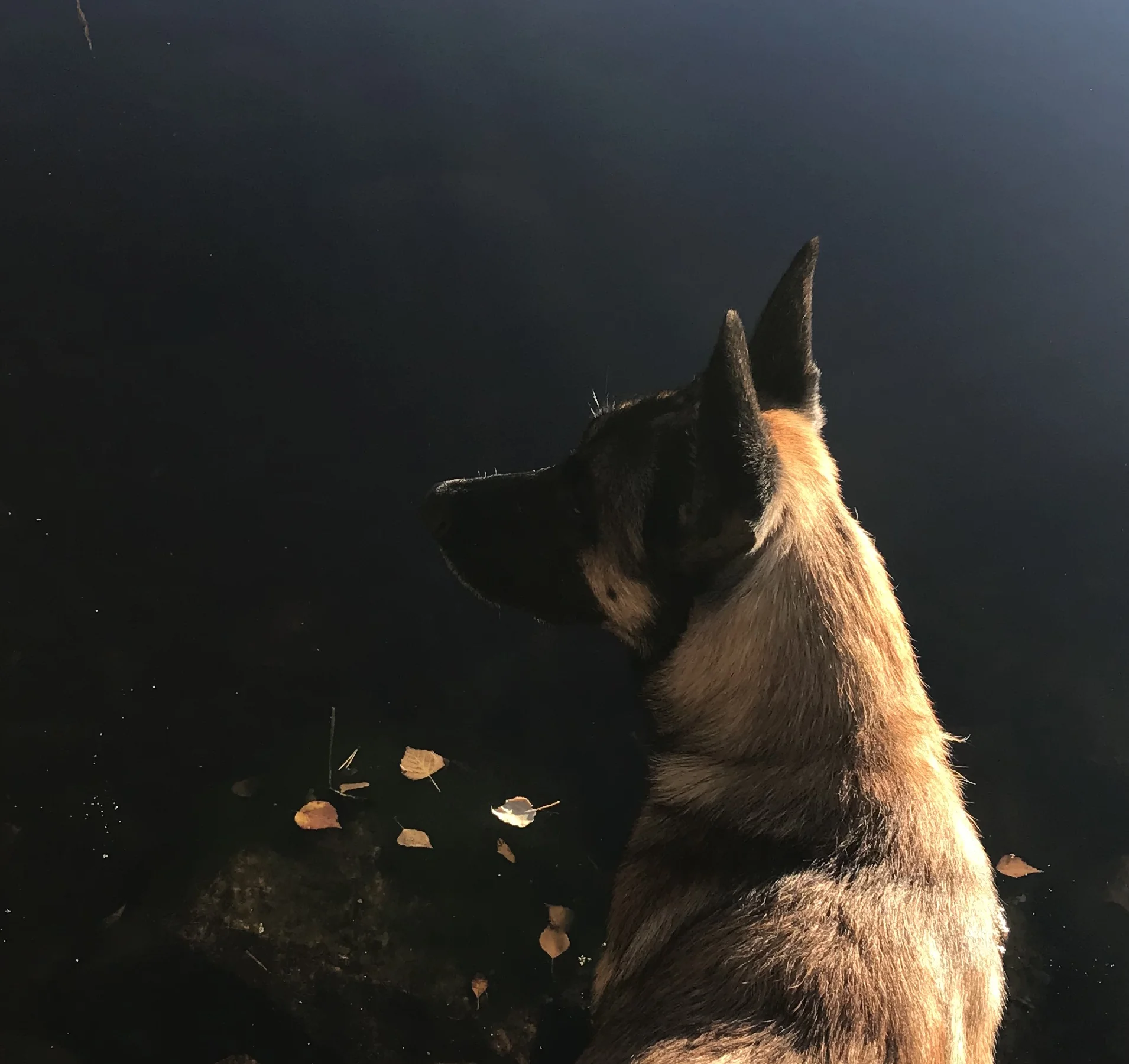 Ibland vänder livet blad väldigt fort&nbsp;