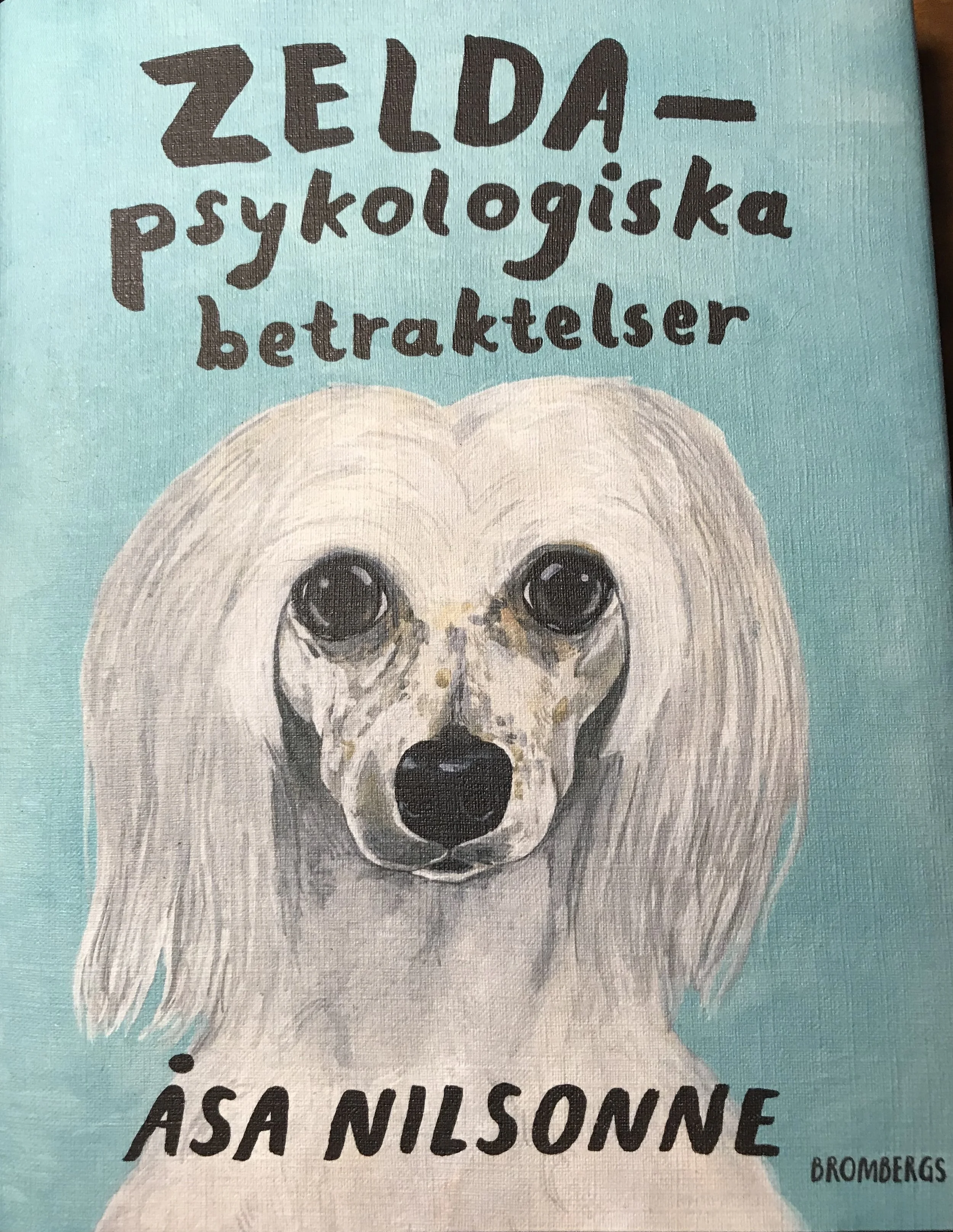Zelda - psykologiska betraktelser