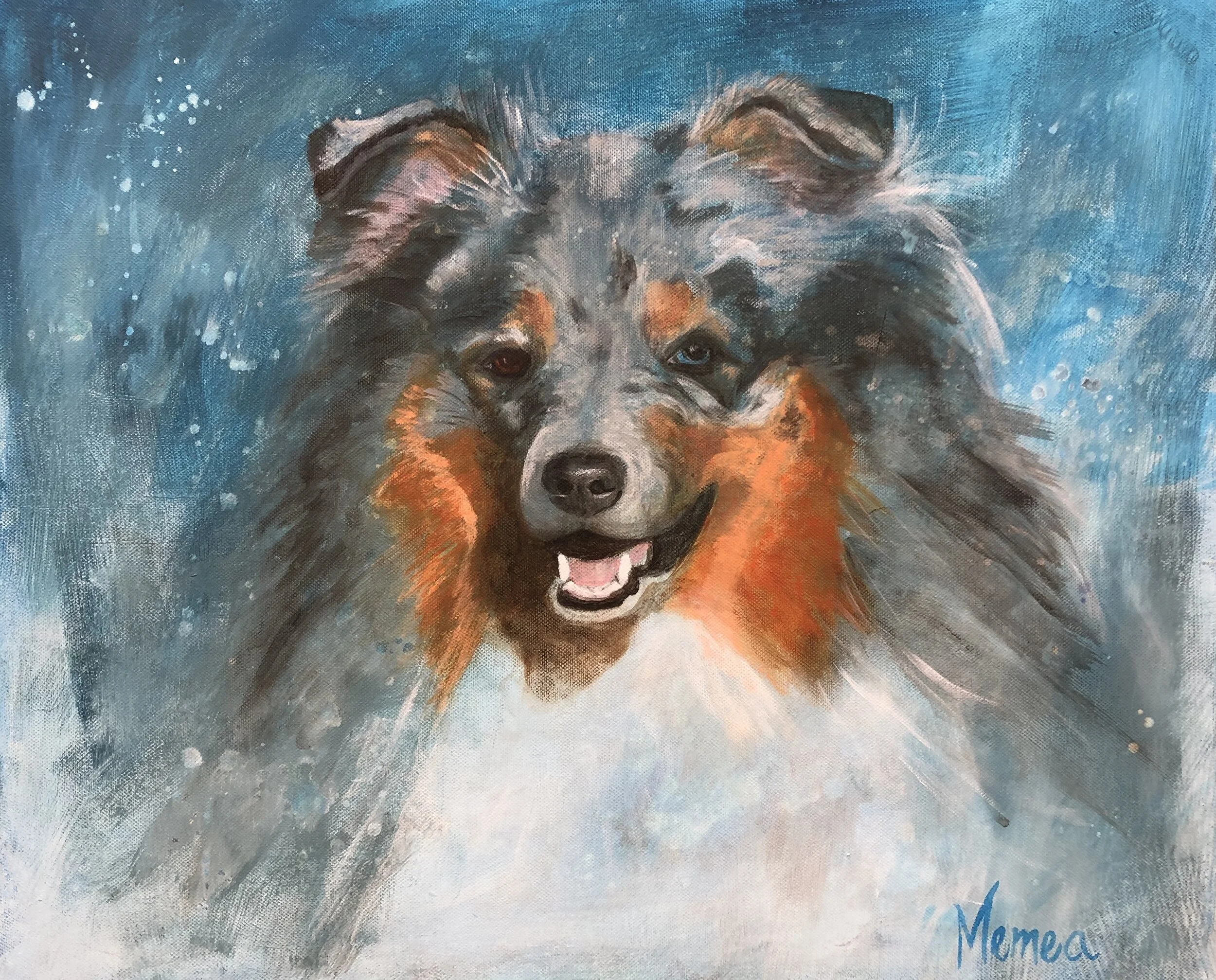 Porträtt på din hund