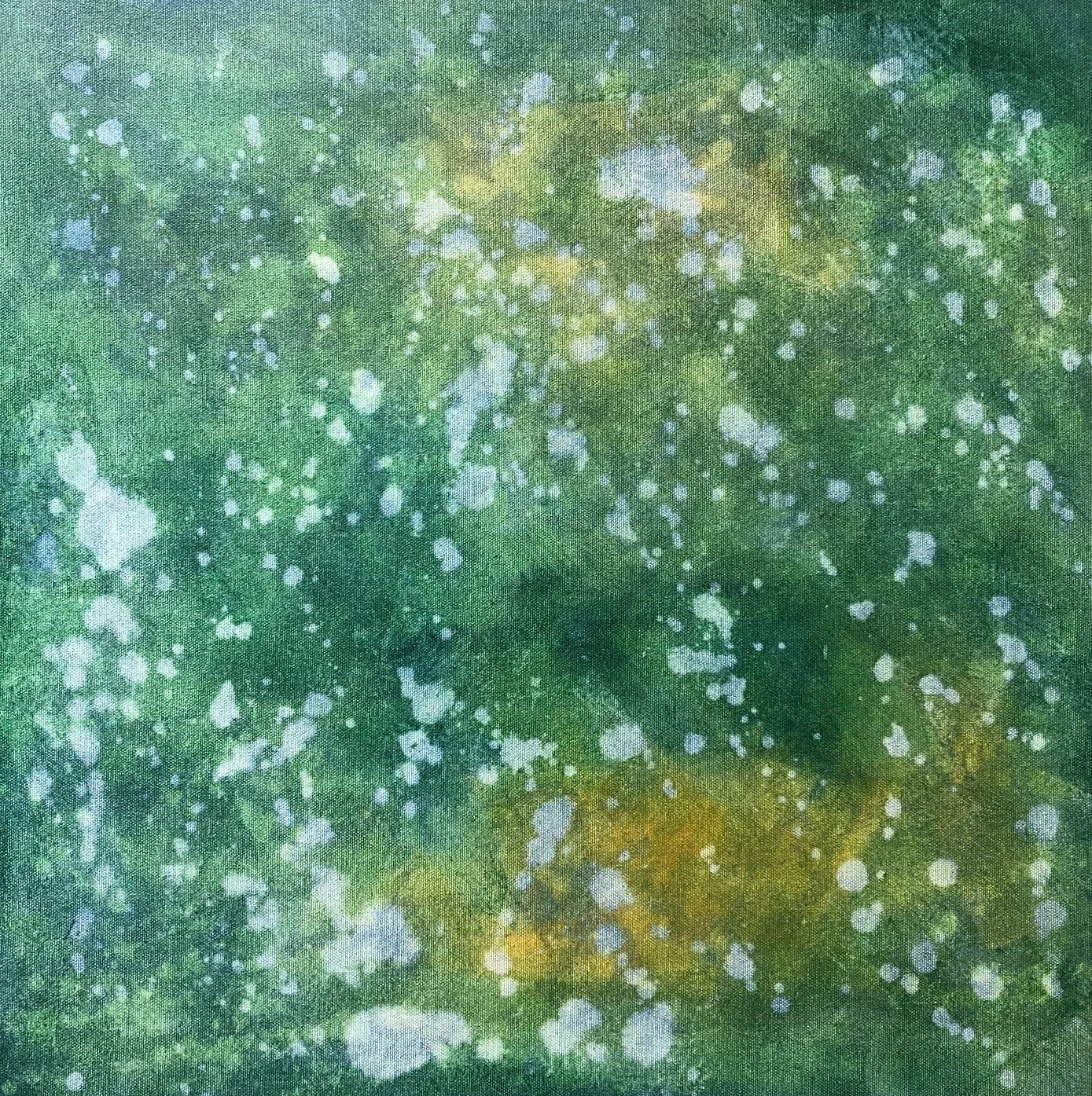 Kom med på ett färgexperiment!