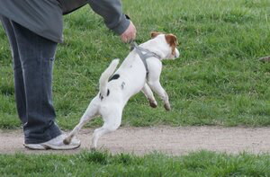 Snäll! Fast mot vem?