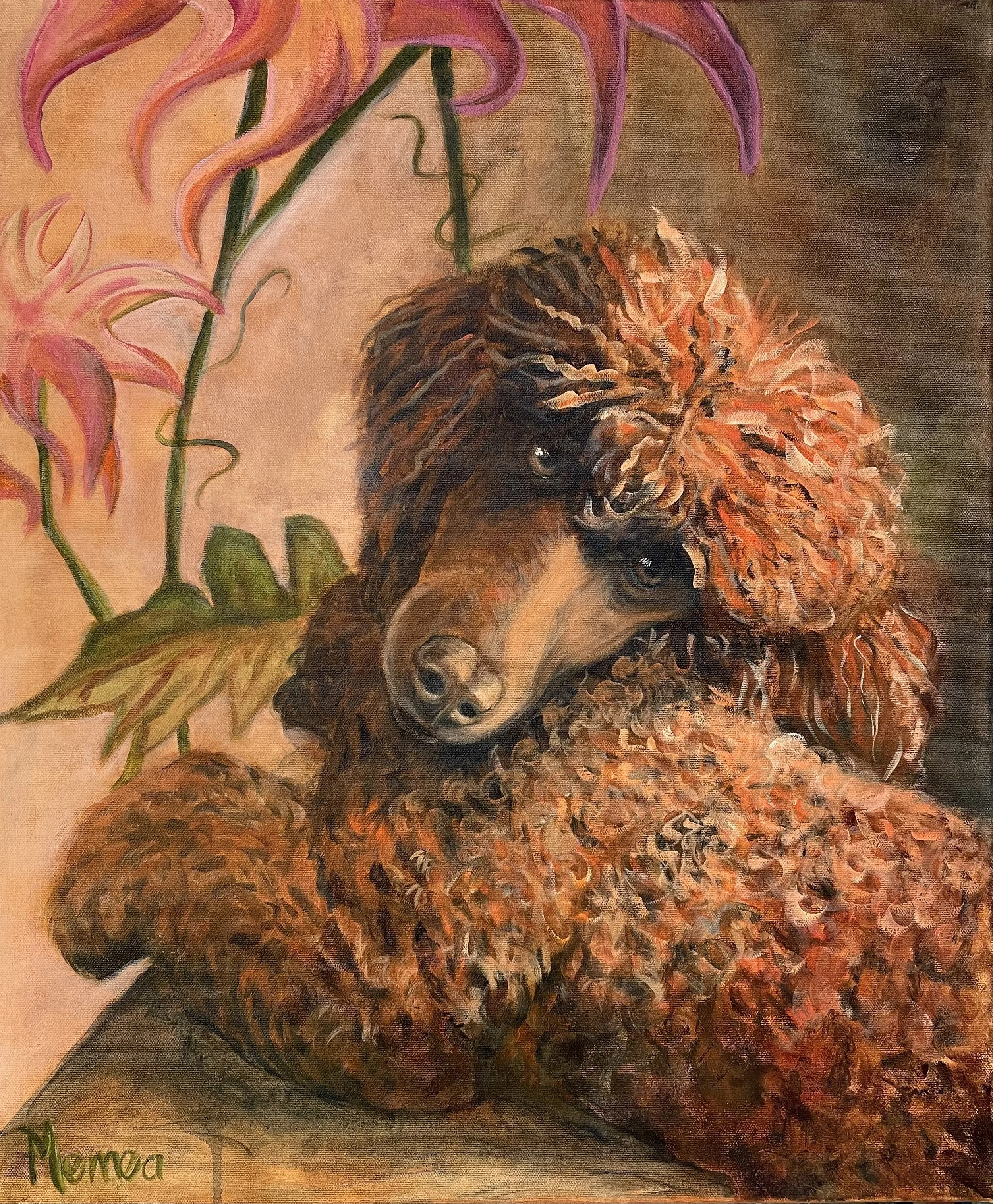 Den lilla  pudeln Faxlings Jump For Joy James, sold.