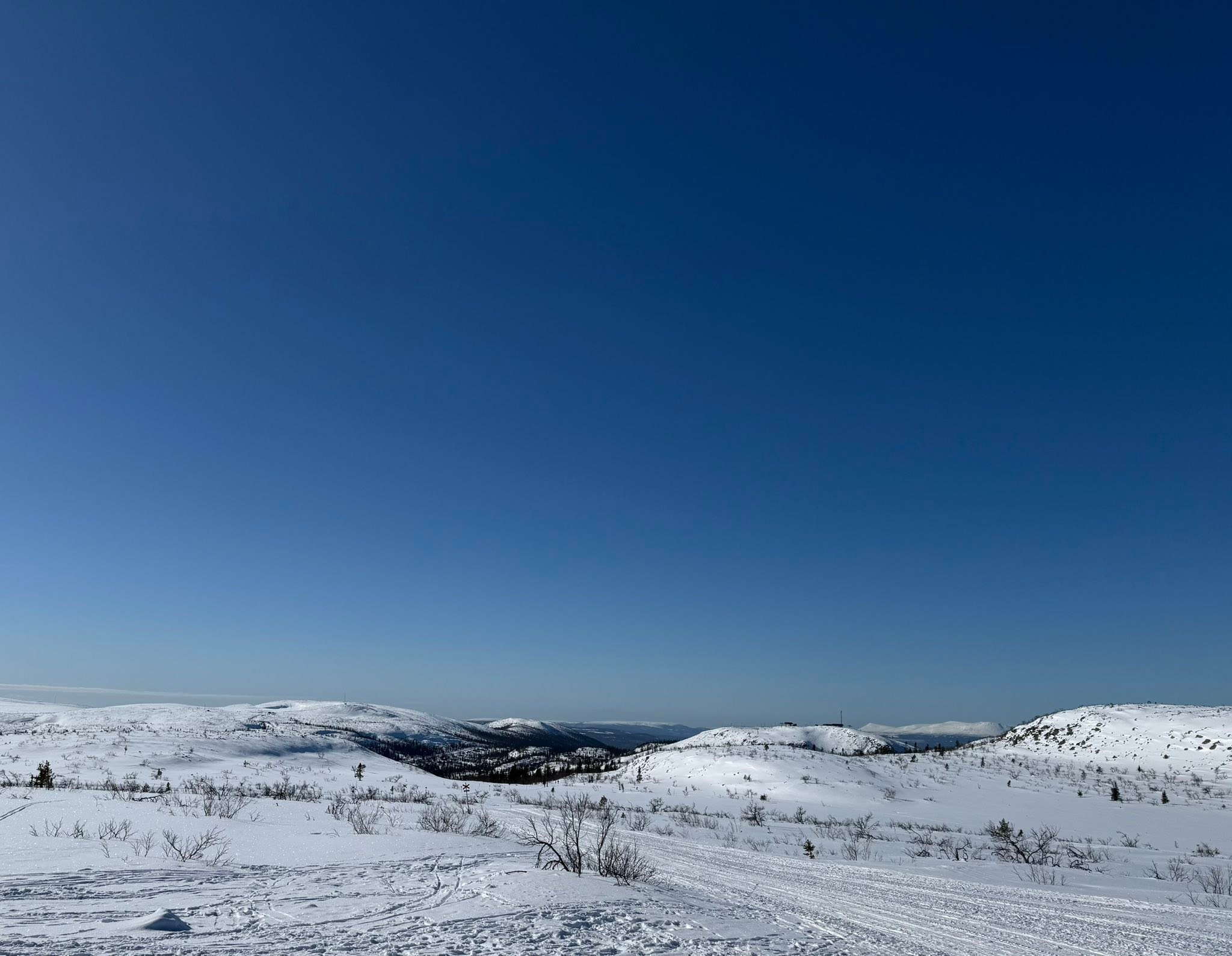 Kontrastrikt 
Firat p&aring;sk i fj&auml;llen. Pr&ouml;va p&aring; att sitta nedgr&auml;vd i en sn&ouml;driva och &auml;ta v&aring;ffla o lapa sol. Check! Bes&ouml;ka Storhognas vintertr&auml;dg&aring;rd f&ouml;r lunch o milj&ouml;n.