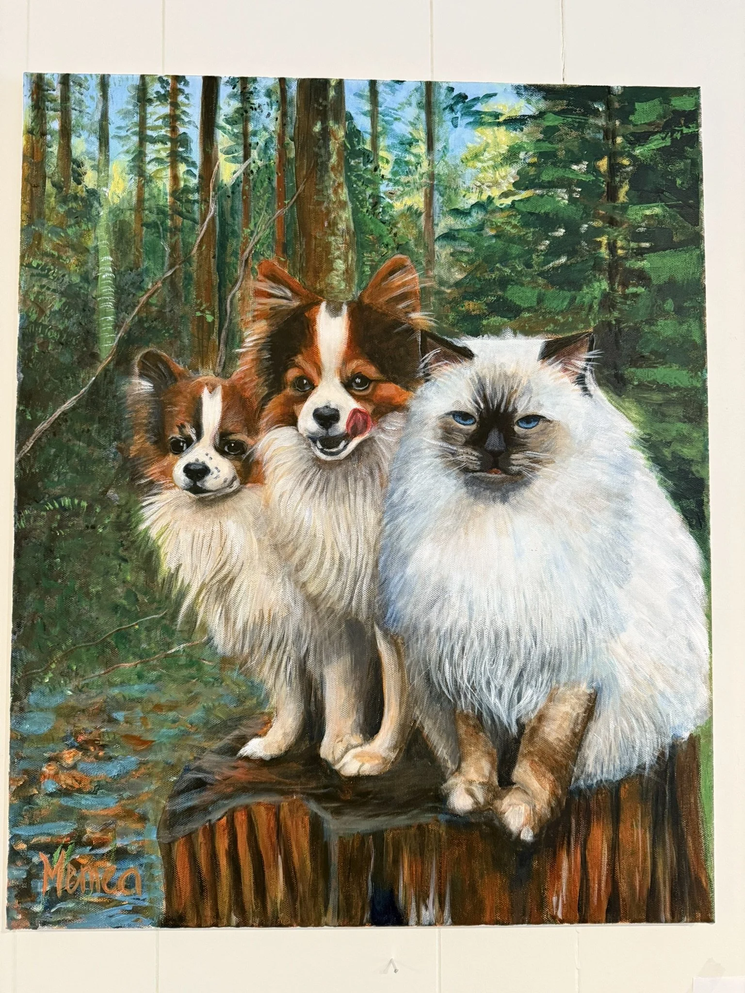 Comission, 70X50 cm, sold