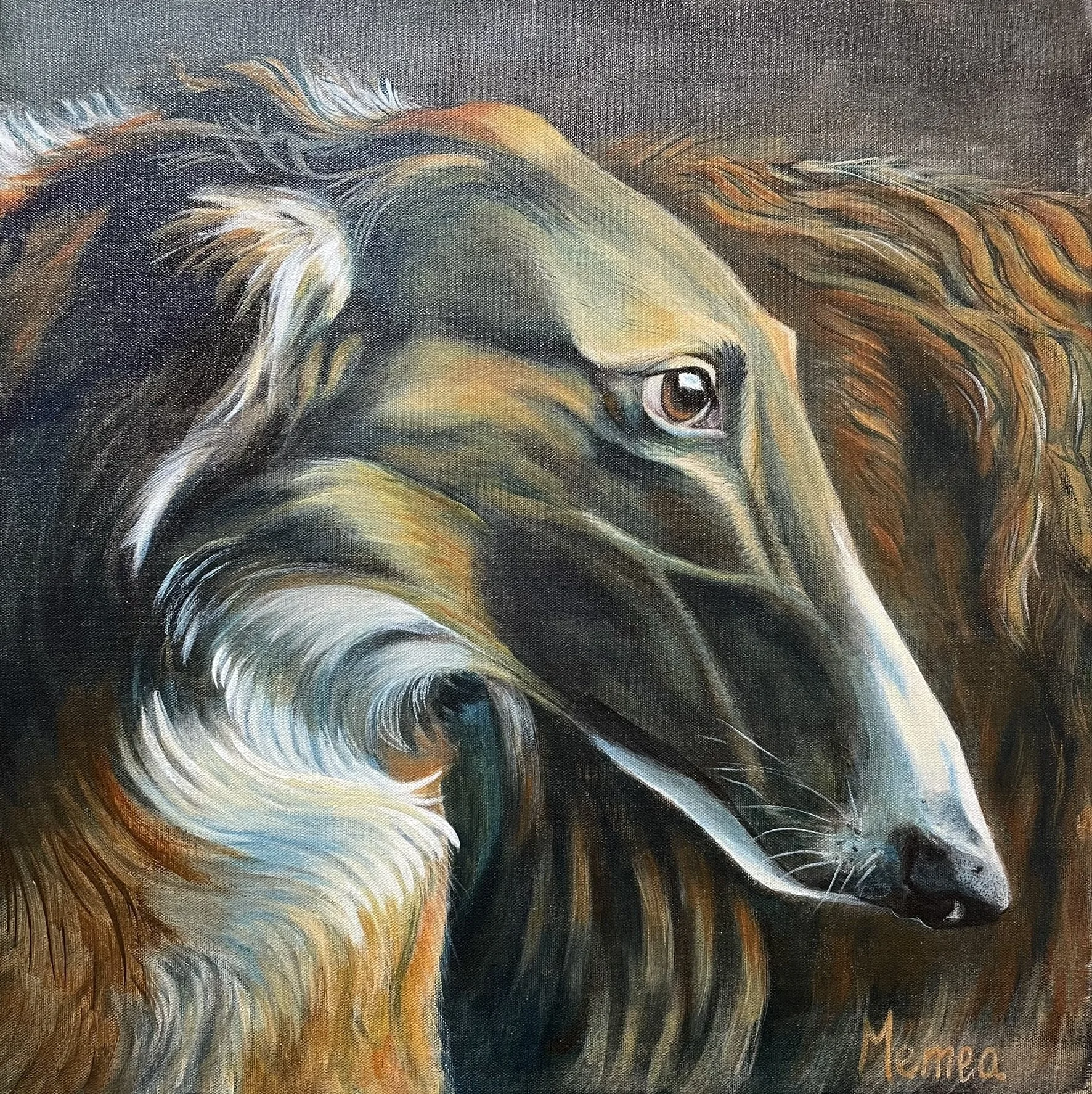 Borzoi
