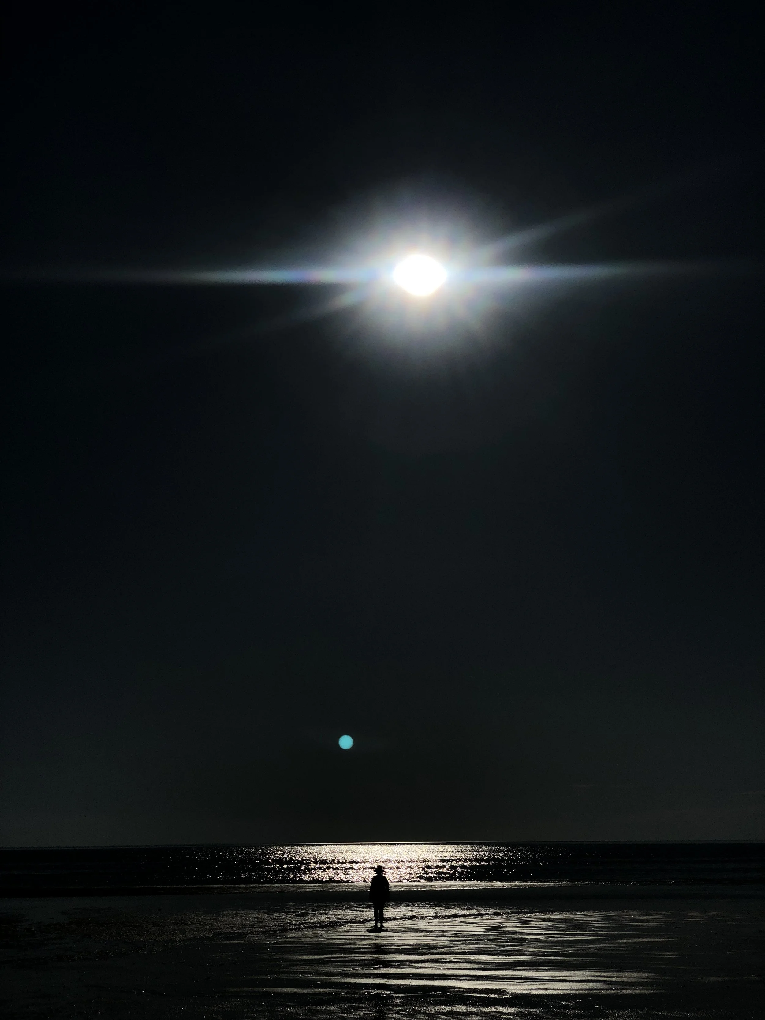 IMG_6751.jpg