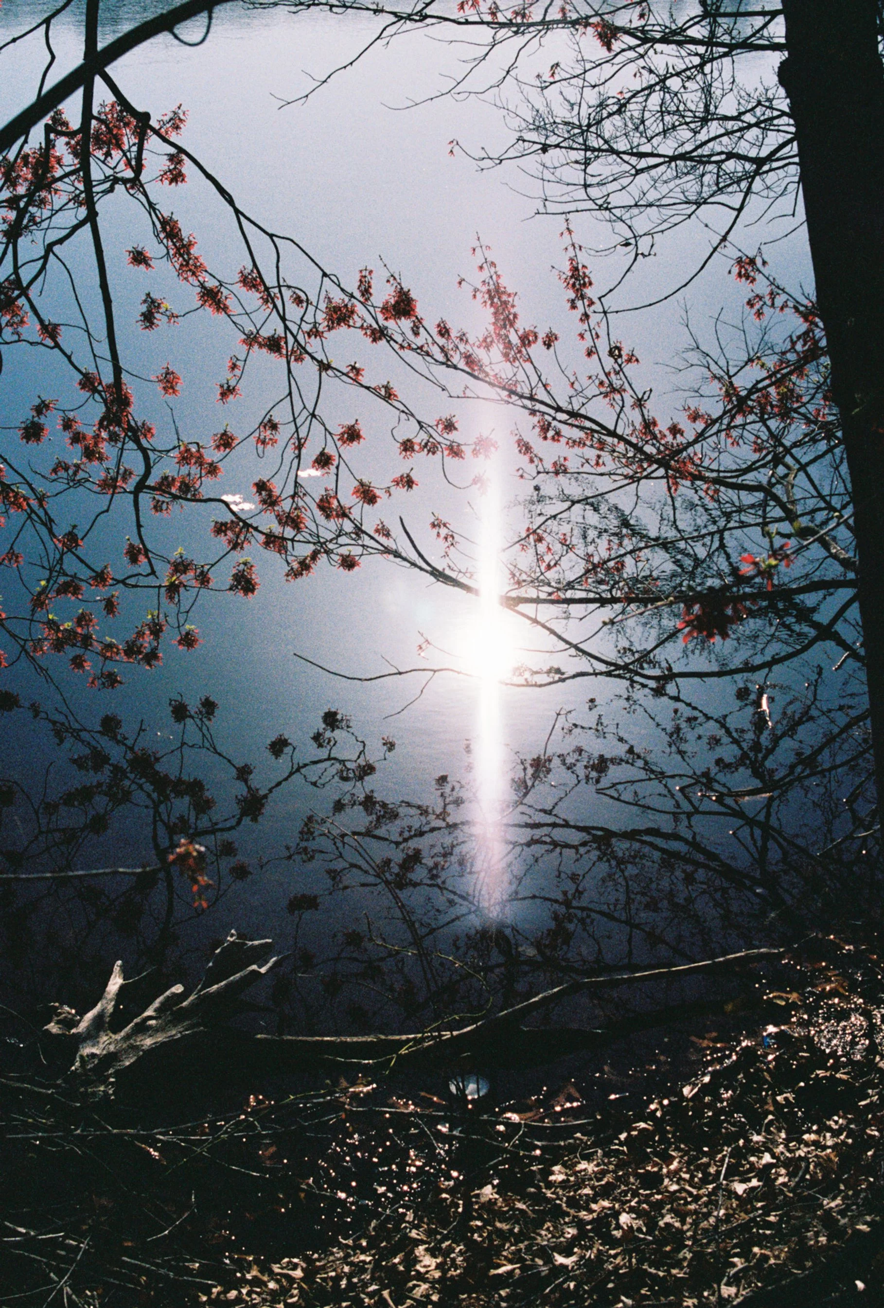 GU6446004360-R1-036-16A.jpg
