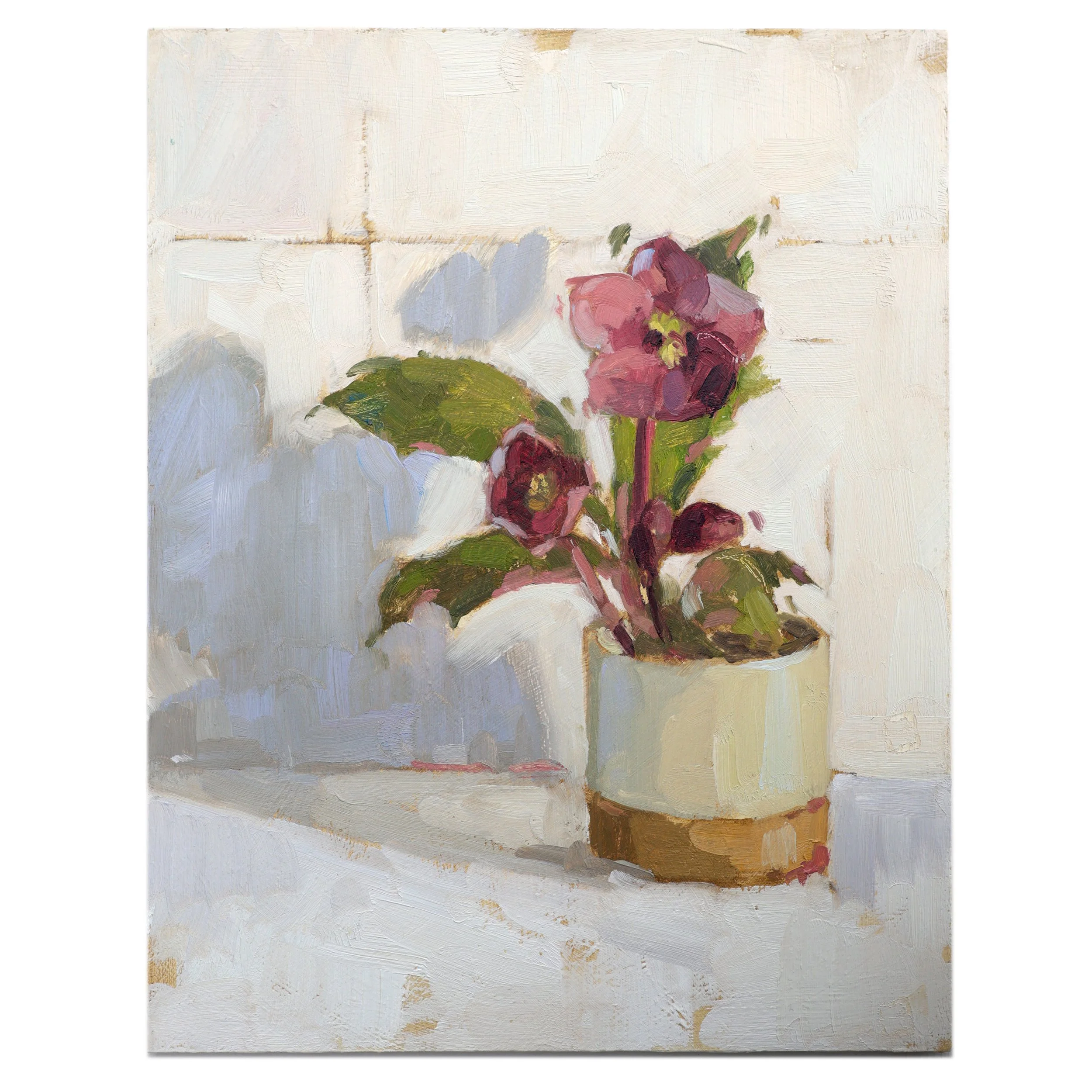 Hellebores with a Blue Shadow.jpg