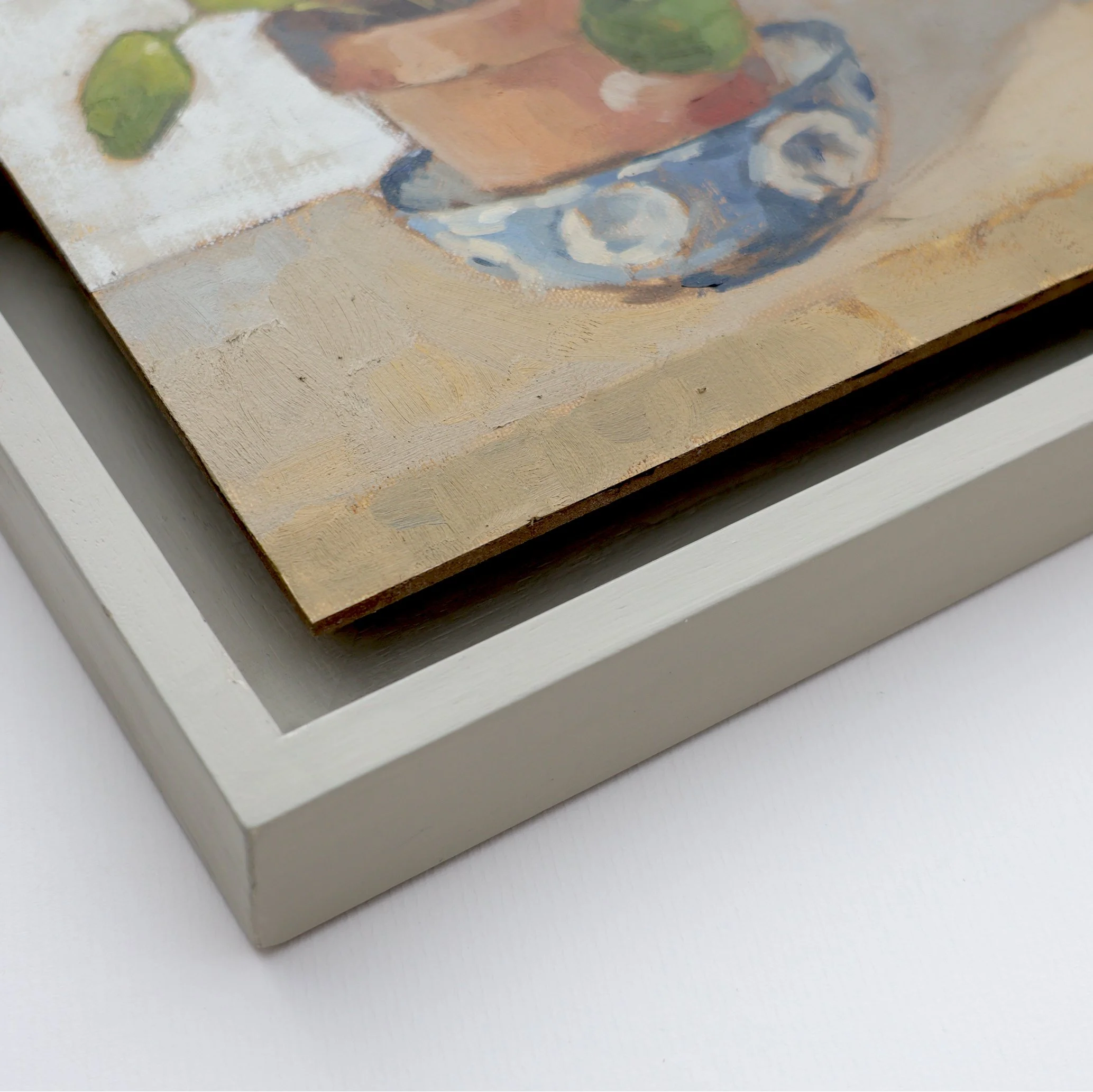 Money plant in Winter.jpg