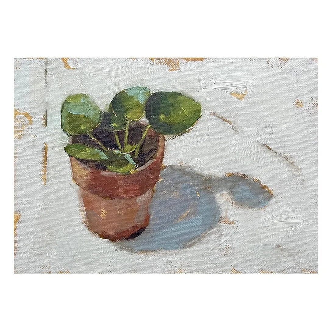 A little painting of a young money plant just getting going. I like the simplicity of the shapes and colours, the leaves reaching out, the round flower pot and the cool shadow cast across the ground.

It is one of a series of mini paintings I&rsquo;v