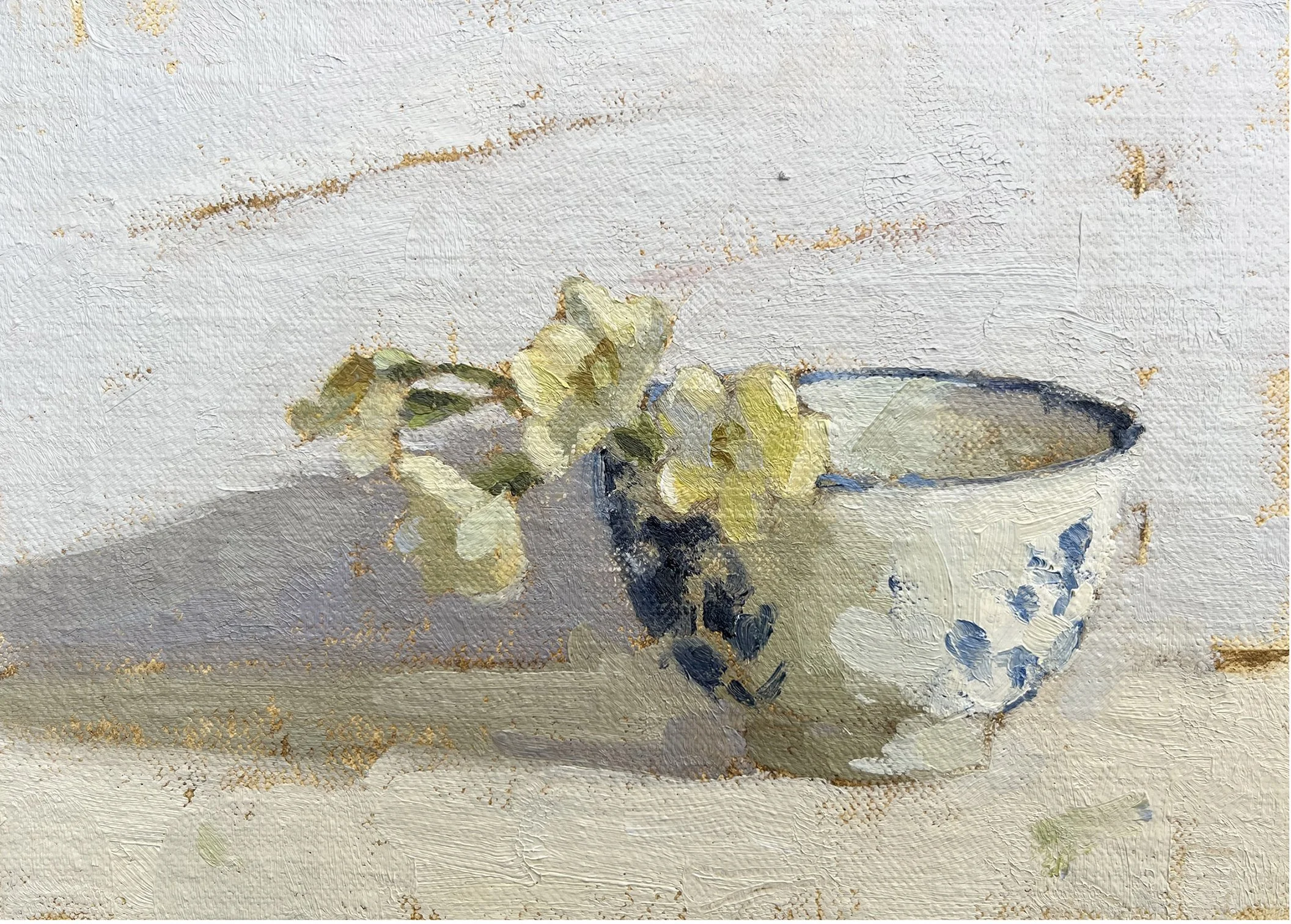 Winter Primroses.jpg