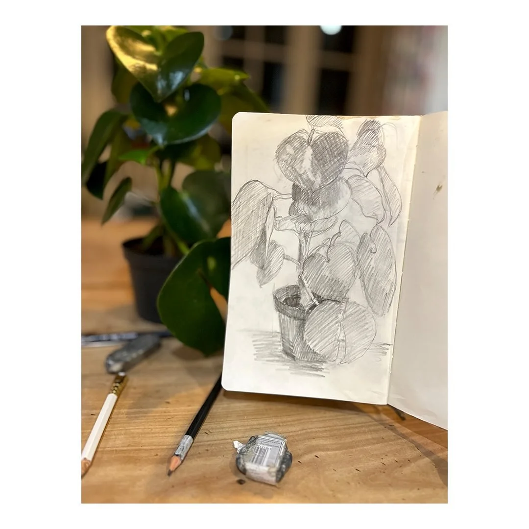 Day 17 #stradaeasel 

It&rsquo;s always tricky to get a moment on a Saturday but I found a quiet few minutes to sketch a  new plant (yes, another!). 

Lovely big, shiny heart shaped leaves. More going on than I thought there&rsquo;d be so it was good