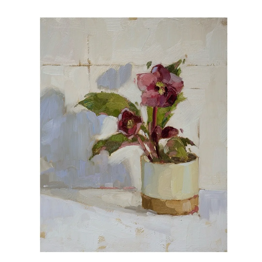 Day 22 #stradaeasel 

The hellebores I picked a week ago are still going strong! It is partly the variety and partly that I&rsquo;ve learnt to dip them in hot water to stop them drooping. They are fading somewhat though and don&rsquo;t have that real