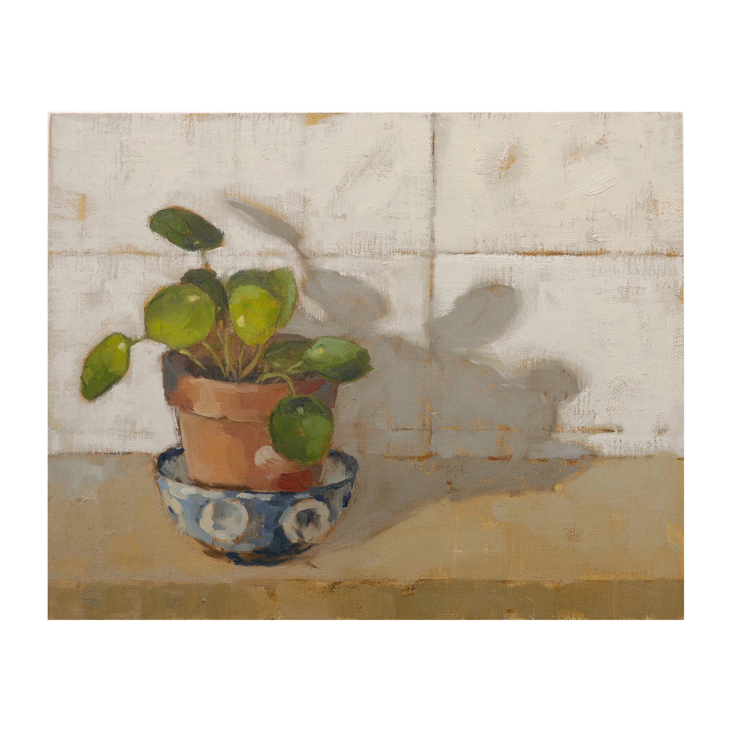 Money Plant in Winter By Fiona Carver.jpg