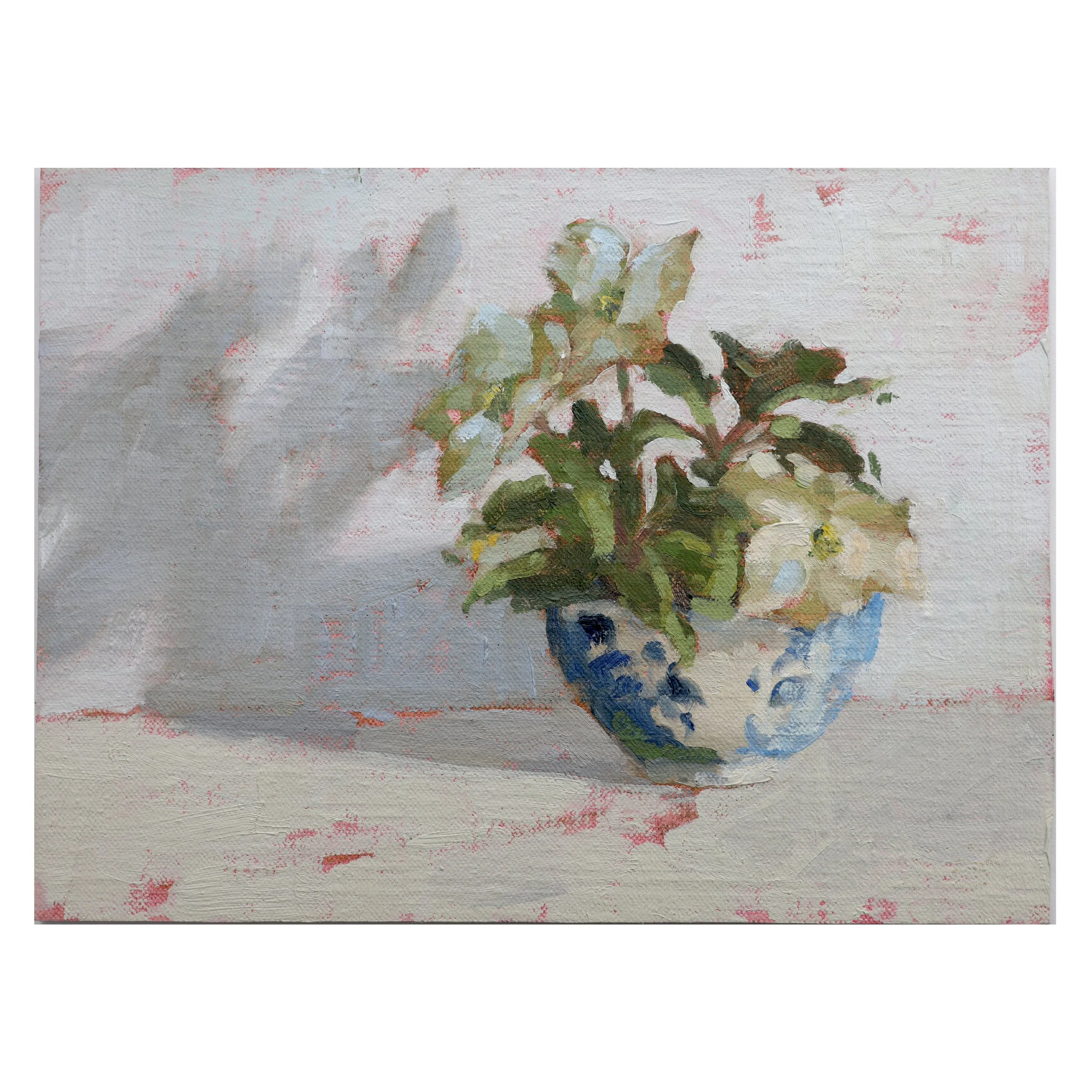 Christmas Roses in Winter by Fiona Carver.jpg