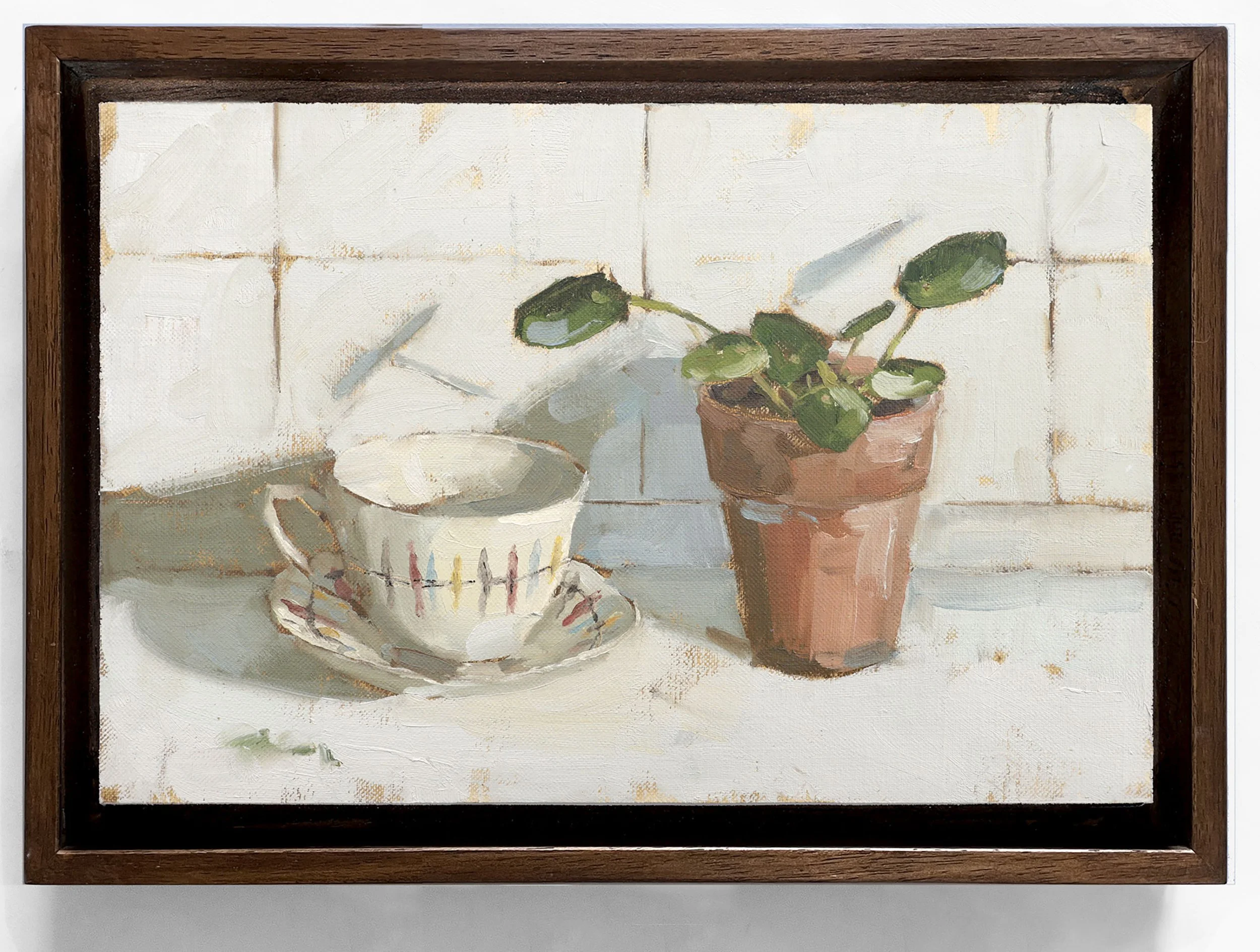 Midwinter and Money Plant.jpg