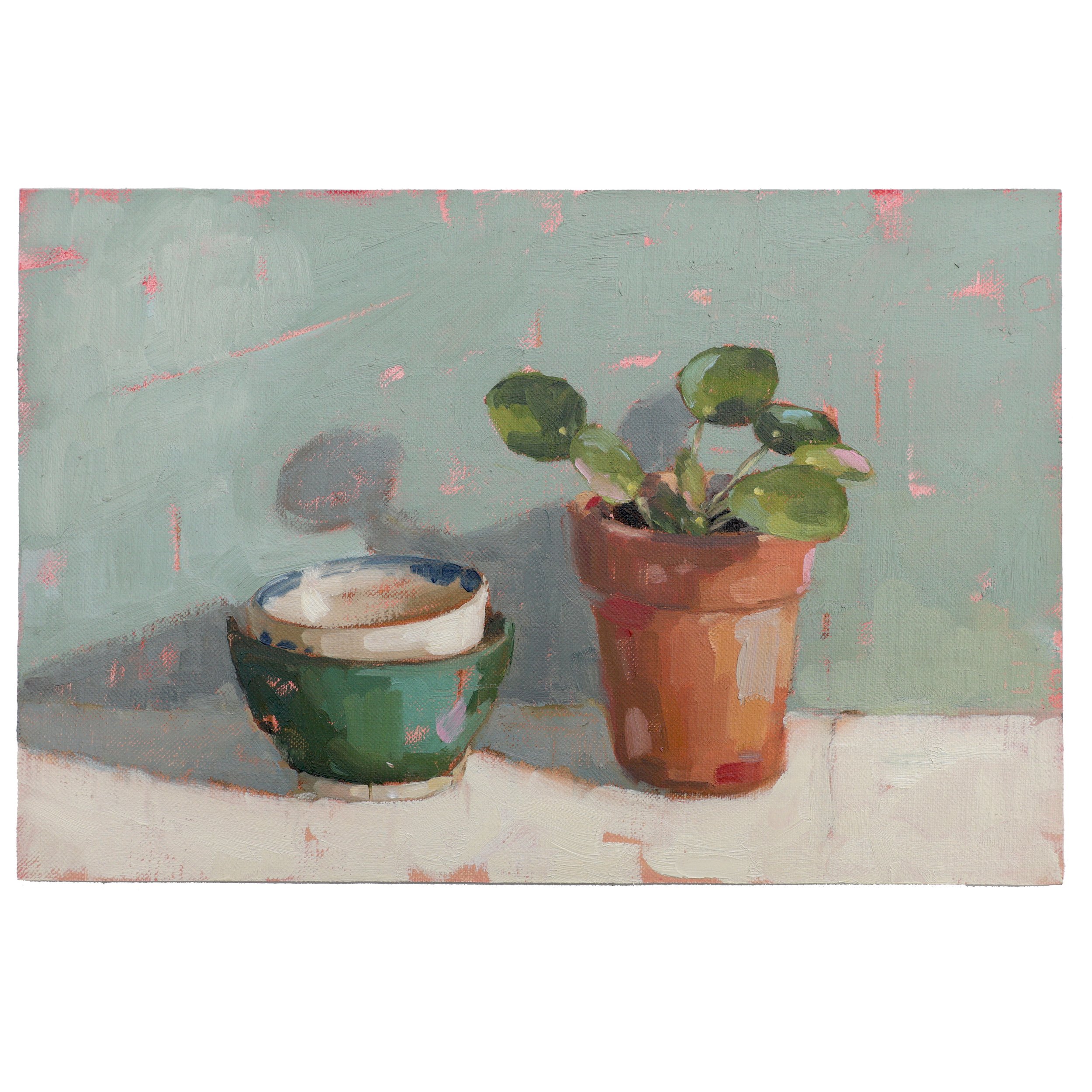 Money Plant and Bowls on Blue.jpg