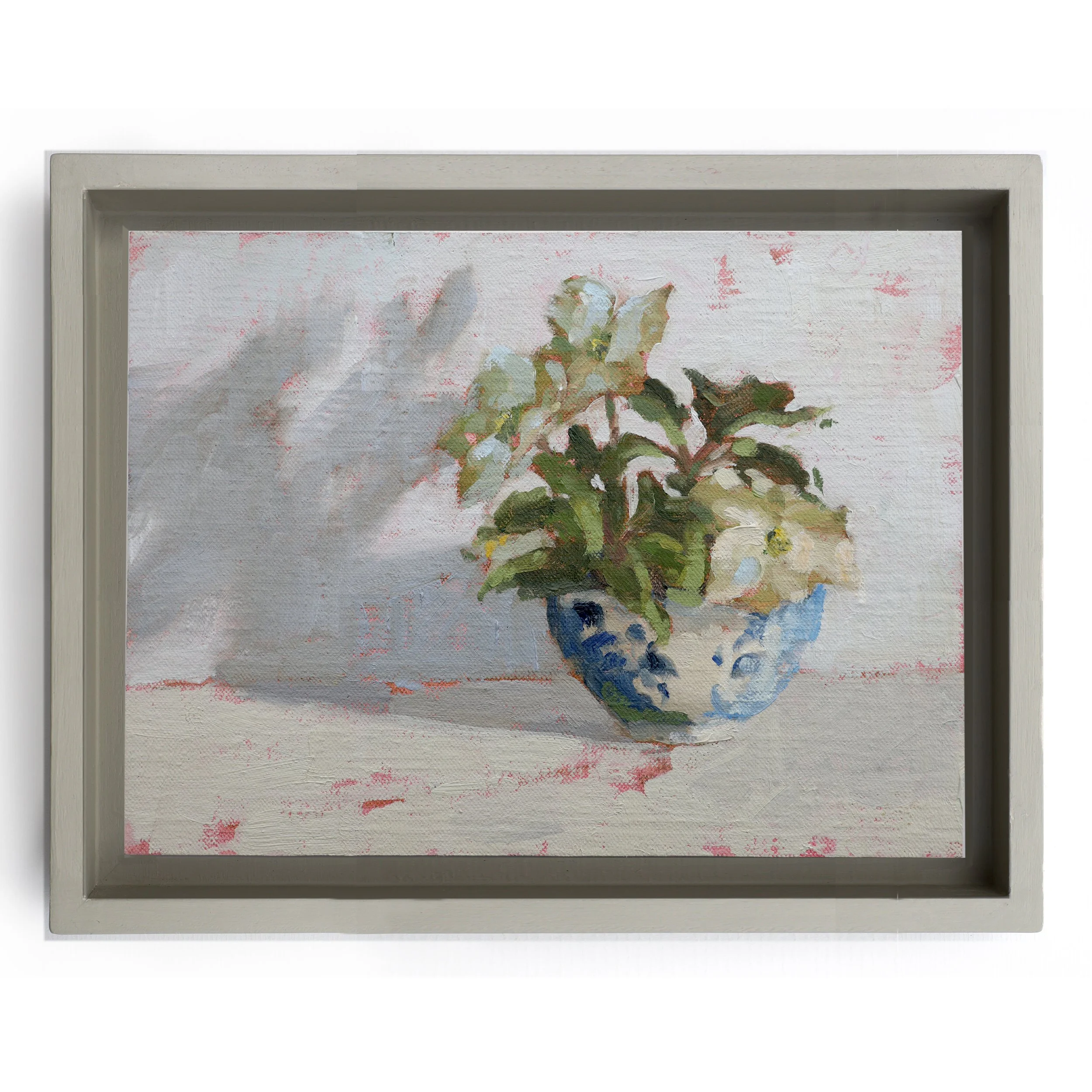 Christmas Roses in Winter.jpg