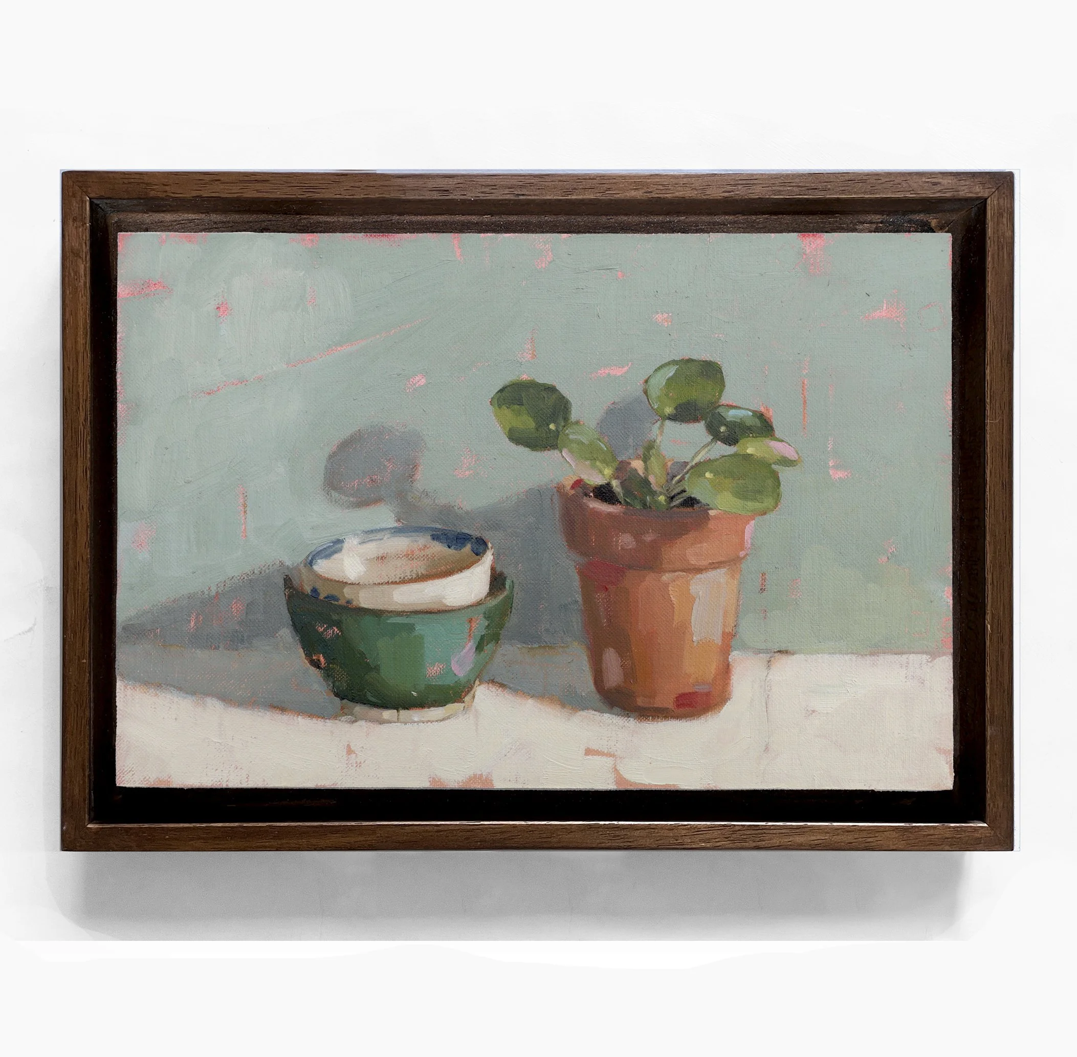 Money Plant and Bowls on Blue.jpg