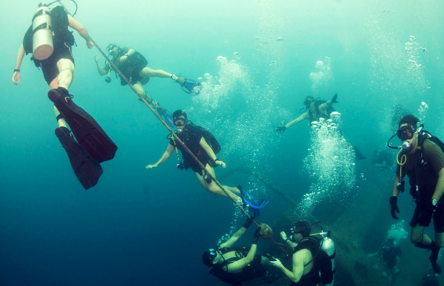 navy seals.PNG