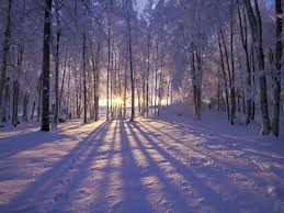 Winter.jpeg