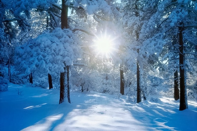 Winter Solstice Tea &amp; Meditation