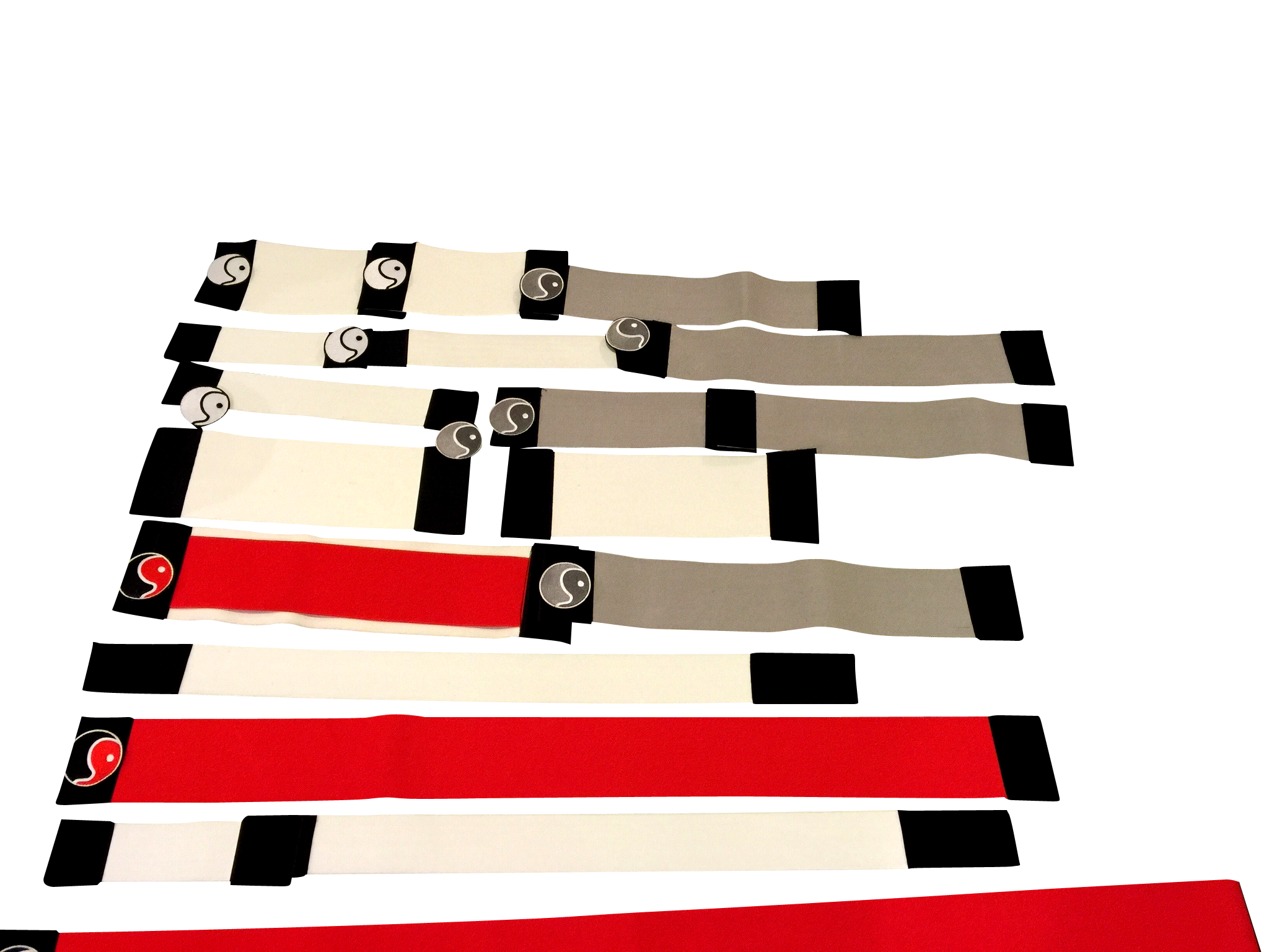 IMG_0381.png