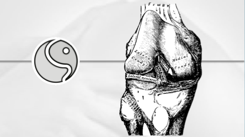 27 ACL tears before the 2015 NFL regular season even started 